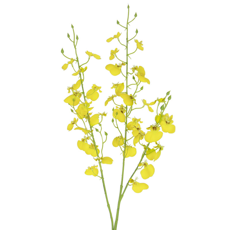 Vaporisateur d'orchidées dansantes, Jaune