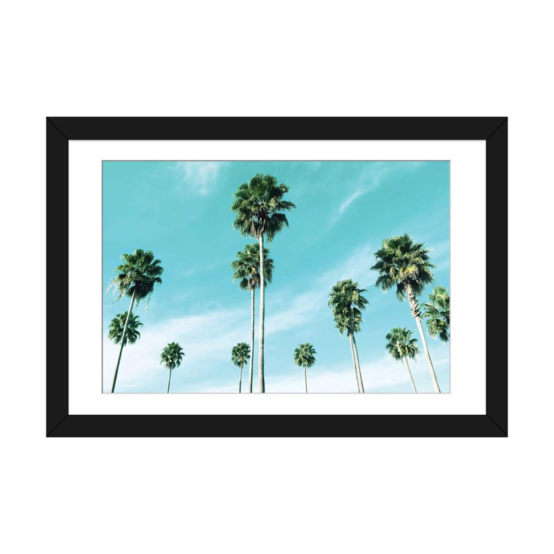 «East Coast Palms», impression sur toile, Papier avec cadre noir, Blanc, H 24 po x l 32 po x P 1 po