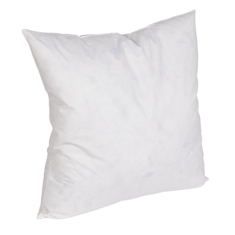 Insert d'oreiller en duvet de plumes de canard 20 po x 20 po, Carré 20 po