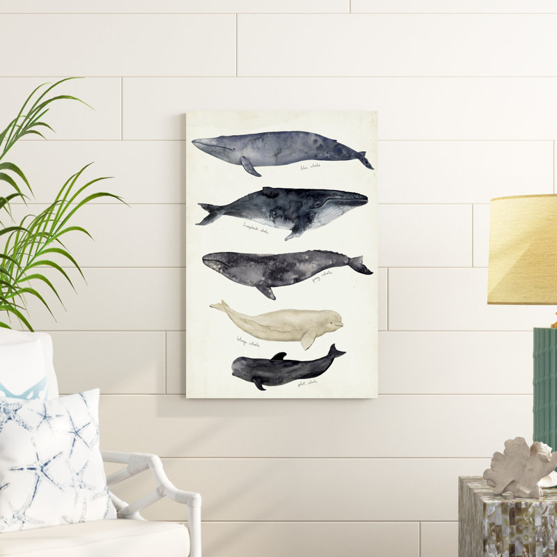 Carte des baleines II, H 36 po x l 24 po