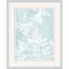 Delicate Fern Assimilation 1 Print