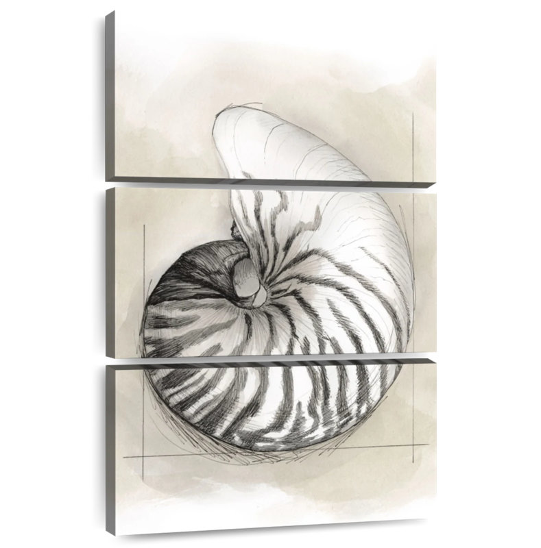 Brampt Shell Schematic I, 74" H x 48" W