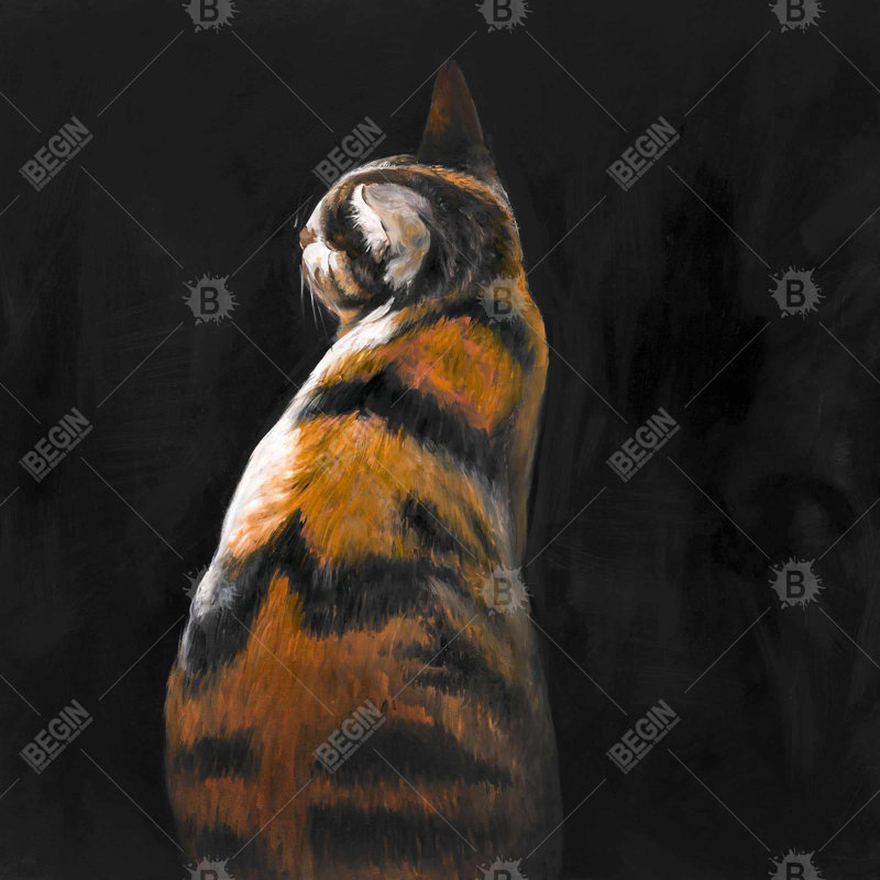 «Chat tacheté»