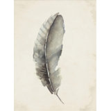 Charcoal Feathers III Print by Beverly Fuller