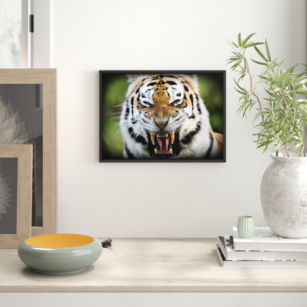 Gerahmtes Wandbild aggressiver Tiger