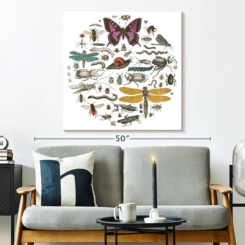 Brampt Insect Circle II Bright, 33" H x 33" W