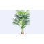 Anjie Faux Palm Tree in Pot-681094824