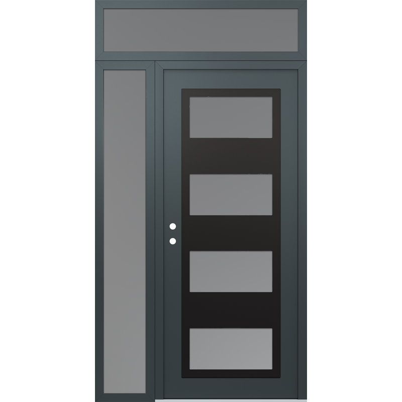 Panneau d'entrée en acier noir anthracite / anthracite avec panneau latéral et porte d'entrée pré-montée, Gelé