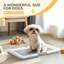 Polypropylene Litter Box-102716396