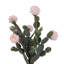 82cm Plant