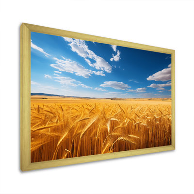 «Australie Golden Plains», reproduction sur toile encadrée