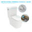 Toilette une pièce moderne à conception simple 1,28 GPF avec siège confortable