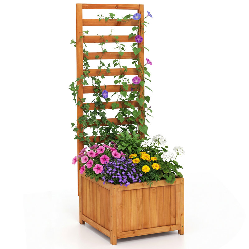 123cm H x 42cm W, Orange