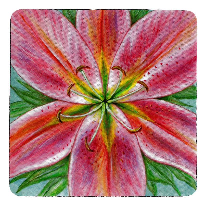 Square 4 Piece Coaster Set