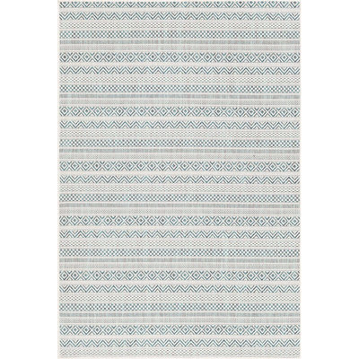 Tapis bleu sarcelle intérieur / extérieur Hewitt