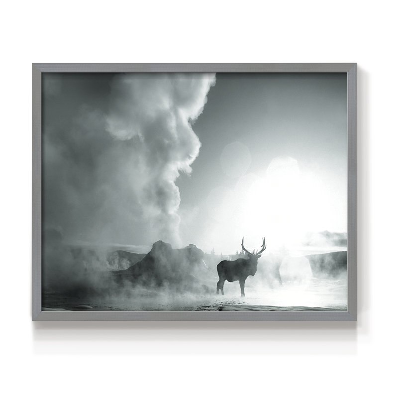 Majestic Moment - reproduction encadrée - réarmable, H 16 po x l 20 po, Gris
