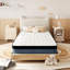 Grand matelas hybride à ressorts ensachés moyen en mousse à mémoire de forme 14 po Larksville-88203286