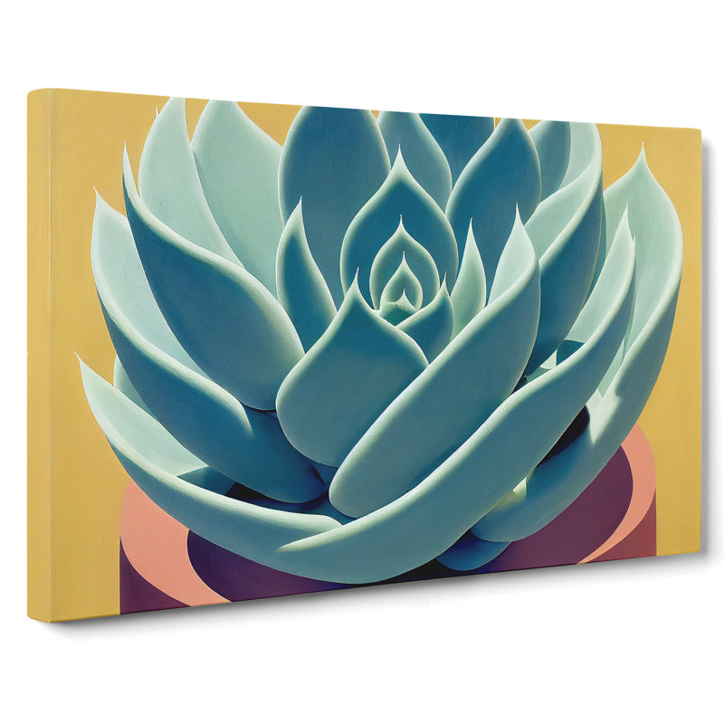 Flourishing Succulent Plant - Wrapped Canvas, 50cm H x 76cm W x 3cm D