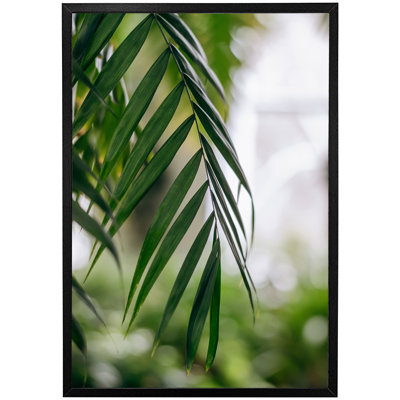 Accursia Single Picture Frame Print