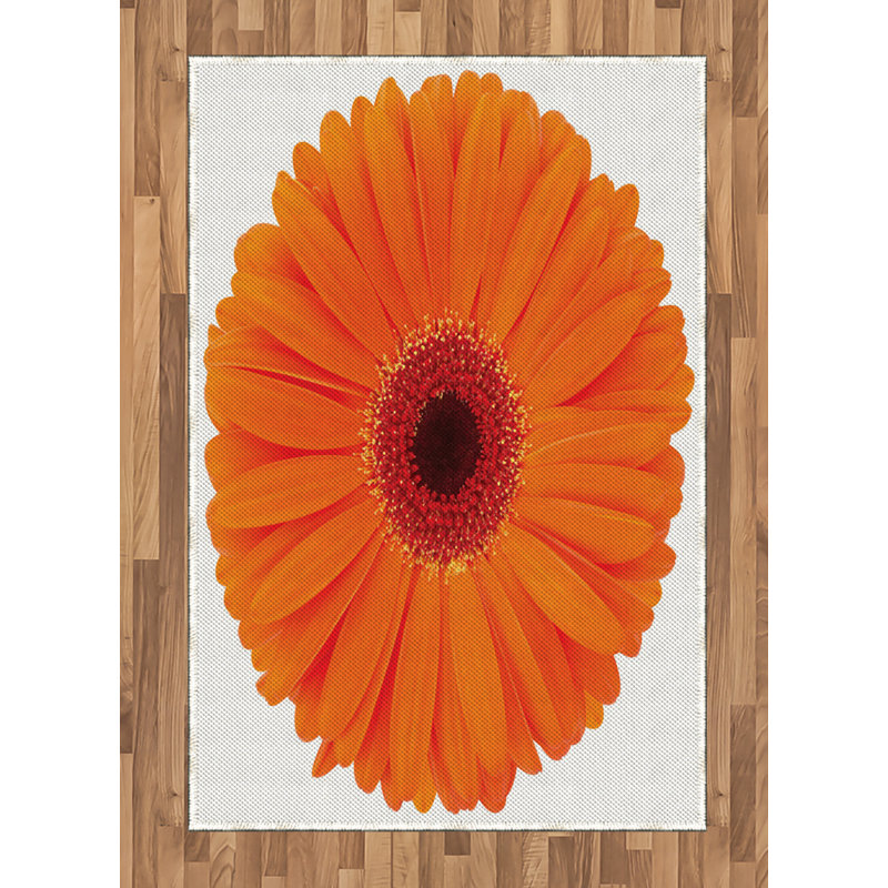 Orange High Density Long Fiber Poly Threads Decorative Area Rug Carpet, Rectangle 4' x 5'8"