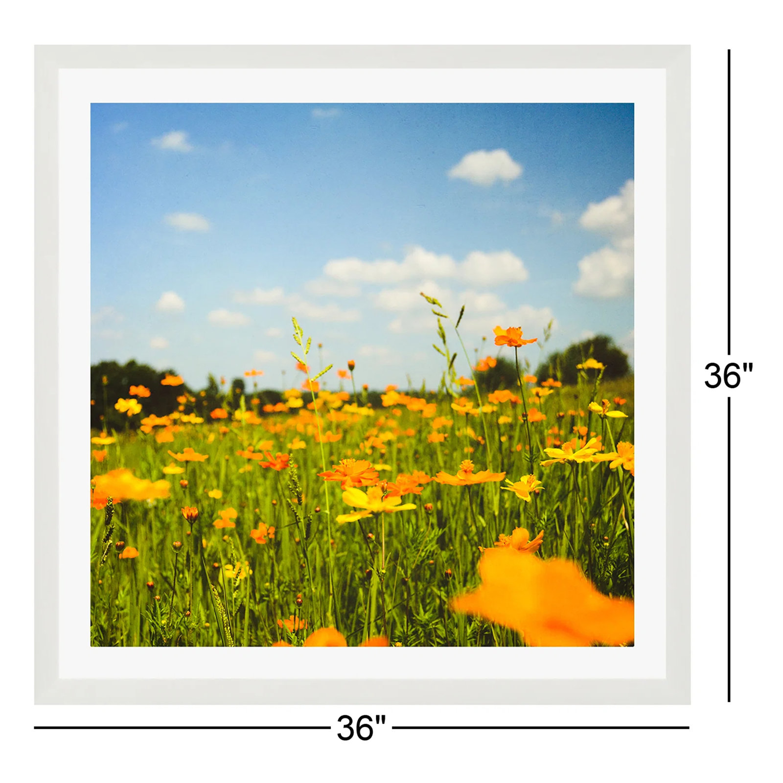 Zaxton "Summertime Good Vibes" Print, 36" W x 36" H, White Floater Framed, No