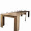 Multifunctional extendable console table