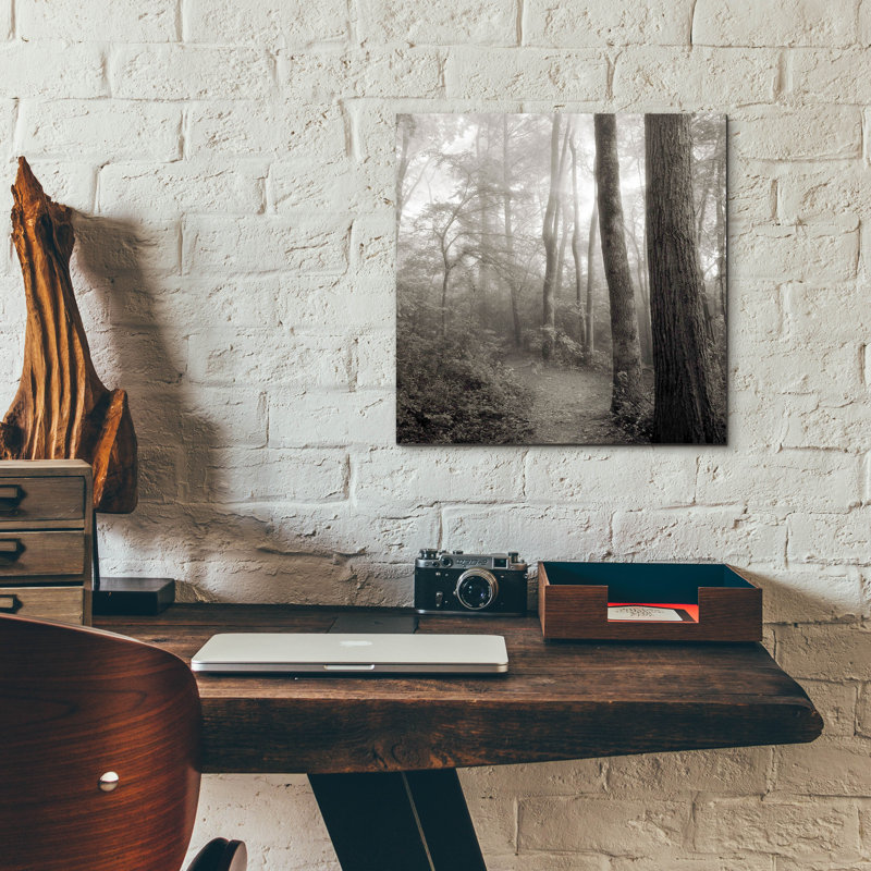«Woodland Path» par Nicholas Bell, photographie, H 12 po x l 12 po x P 0,13 po