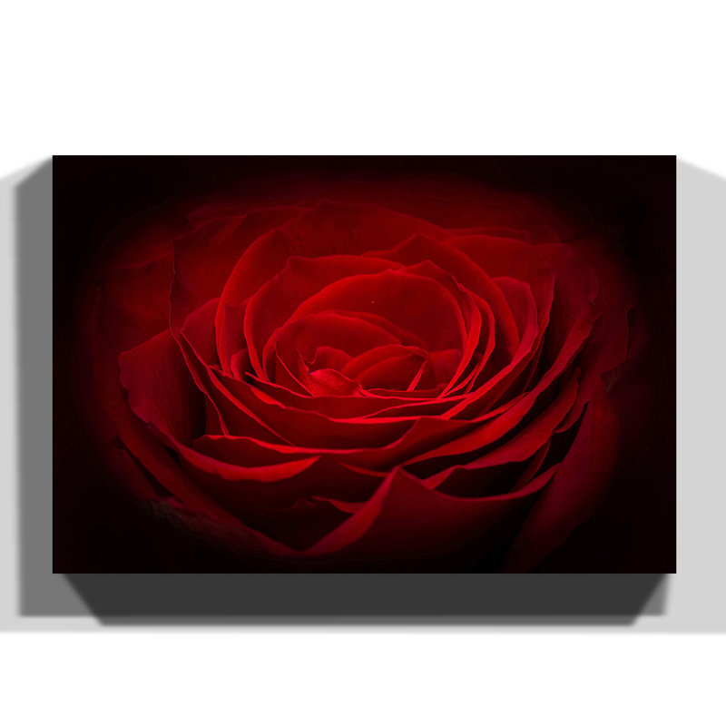 Wrapped Canvas Print, 70cm H x 100cm W