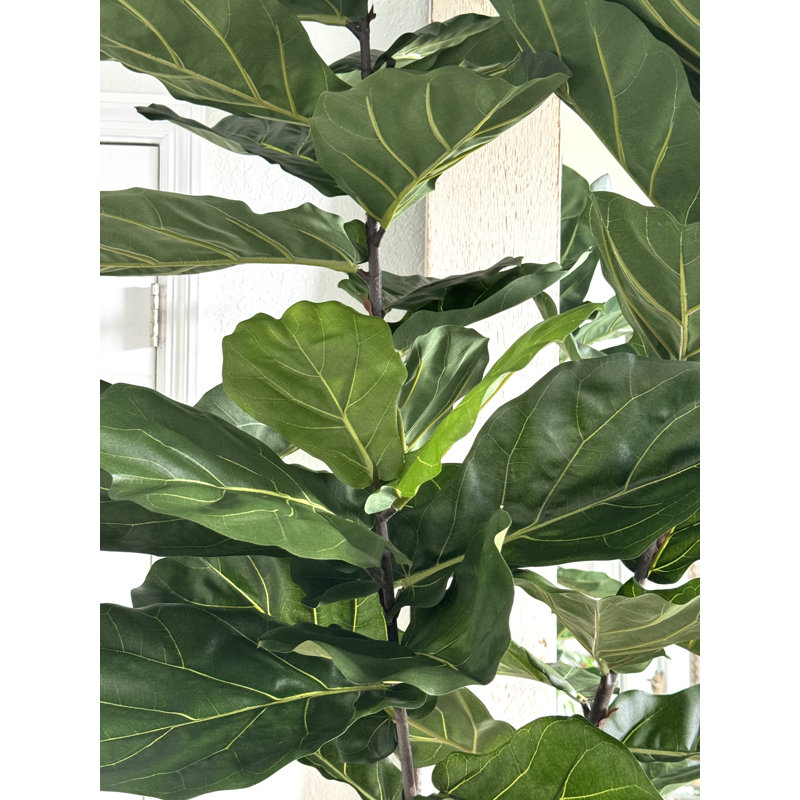Fiddle Faux Fiddle Leaf Fig Tree in Metal Planter, Silver, 96" H x 42" W x 28" D