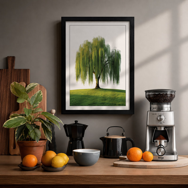 Weeping Willow Botanical - Framed Print, Black, A3 - 42.0 x 29.7 cm