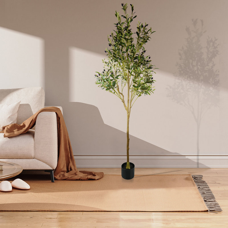 71" Tall Faux Olive Tree, Artificial Floor Plants in Black Planter for Home, Office and Patio