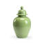 Ceramic Ginger Jar-32486234