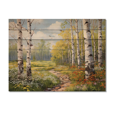 " Birch Woods Spring Awakening II "
