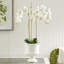 Mirabelle Ceramic Decorative Bowl-189286764