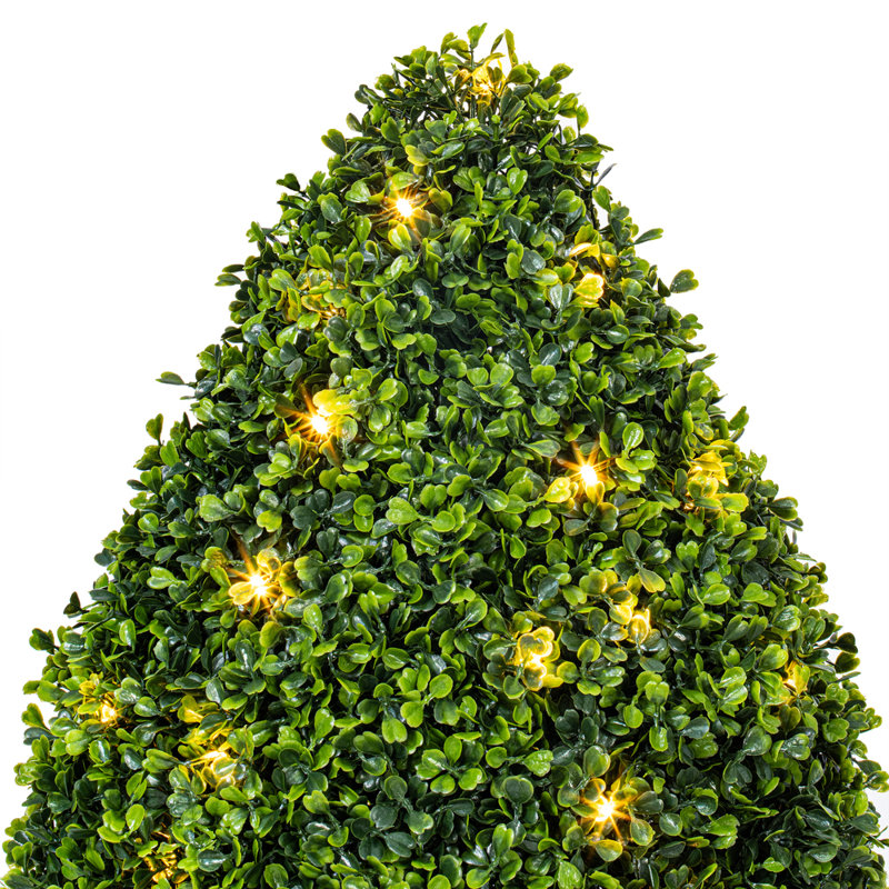 Buisson en forme de goutte de buis en forme de buisson, H 24 po x l 15 po x P 15 po