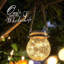 Pierview LED Outdoor Hanging Lantern