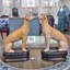 Pair Whippet Figurine