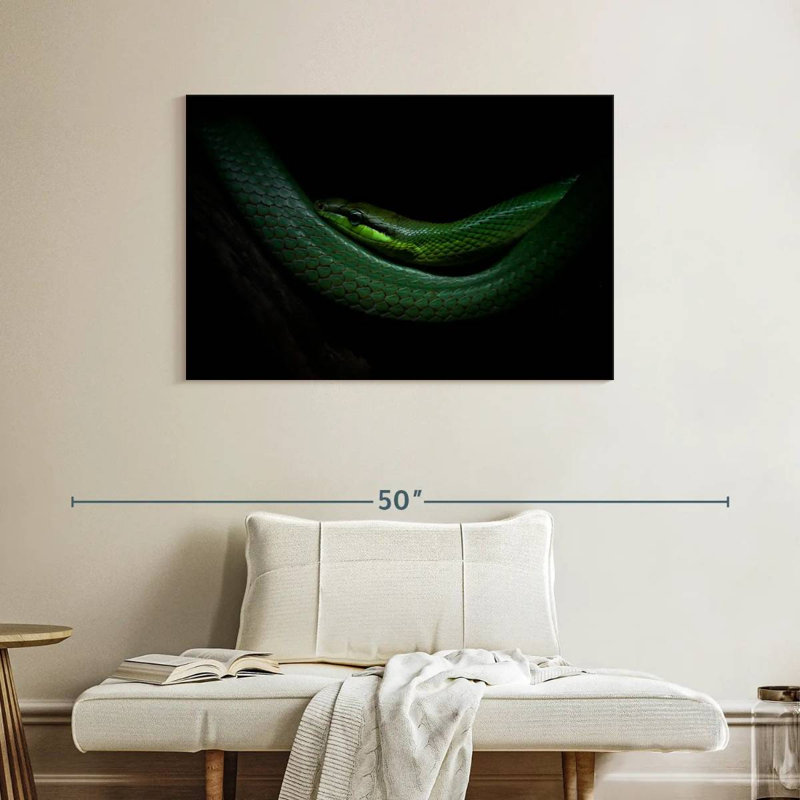Brampt Mamba, 26" H x 39" W