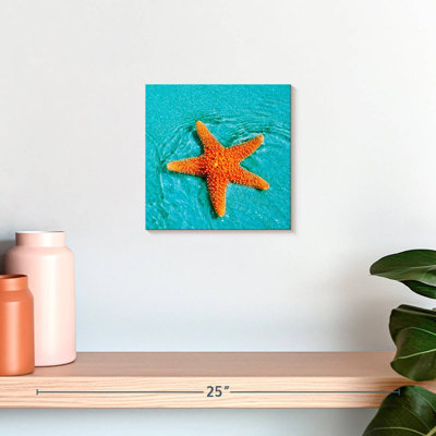 Adeliza Submerged Starfish