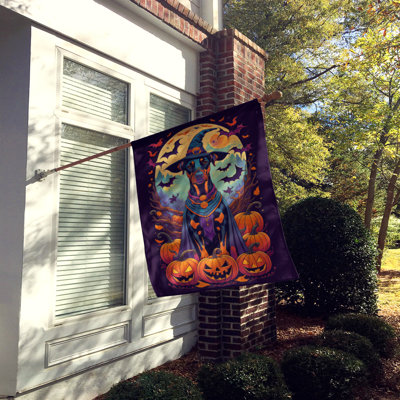 Jakhyla Double Sided Polyester Halloween Garden Flag