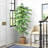 72" Artificial Ficus Tree in Basket
