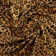Ardmore Linen Fabric