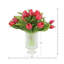 Tulips Arranged in Glass Vase