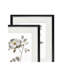 Neutral Rose I '- ensemble de 2 reproductions d'art sur papier encadré-28785935