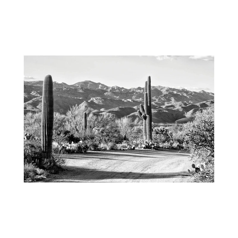 Cactus On The Way by Philippe Hugonnard - Wrapped Canvas Print, 66.04 cm H x 45.72 cm W x 1.91 cm D