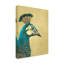 Bolognaise «Peacock Profile II» sur-98390980