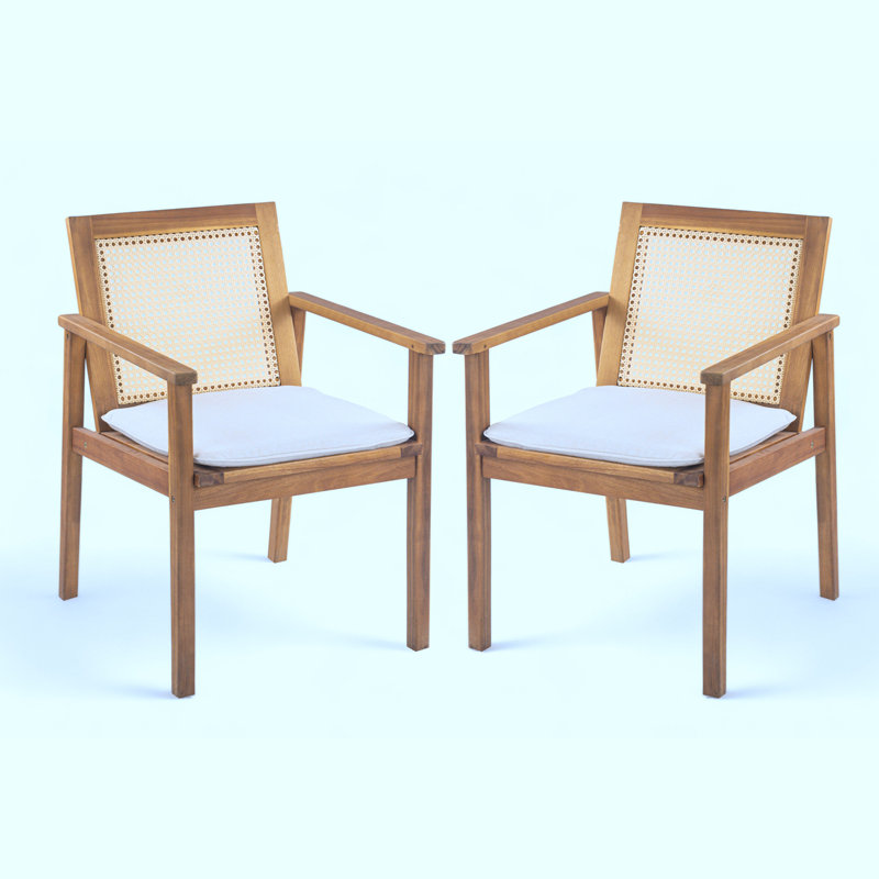 Ensemble de 2 chaises de patio avec coussin moelleux