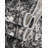 Clevinger Oriental Charcoal Area Rug-214596725