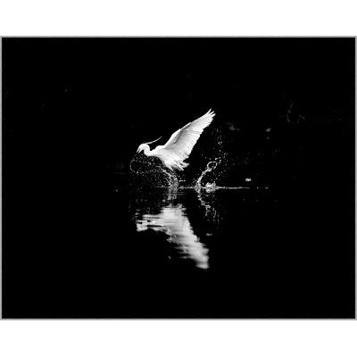 Elegant Departure 1 Print by Thom Filicia