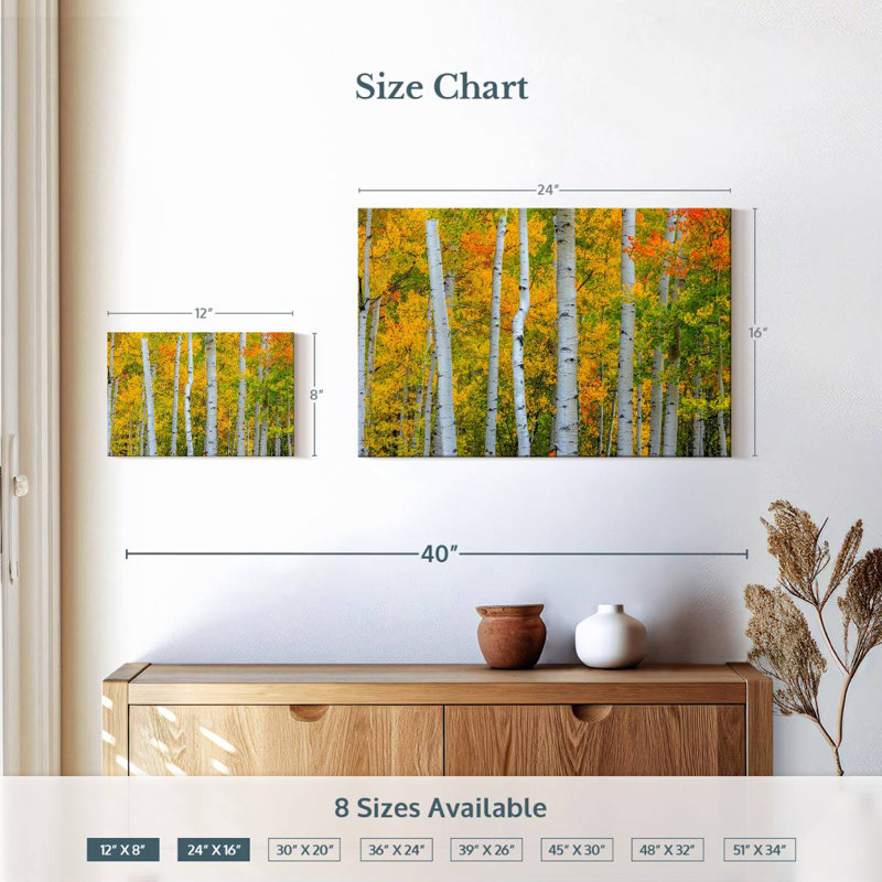 Arbres Telluride d'Alvord, H 16 po x l 24 po